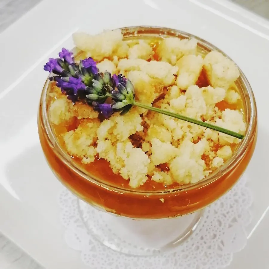 Logis Hotel Restaurant Le Chene Vert Rocher